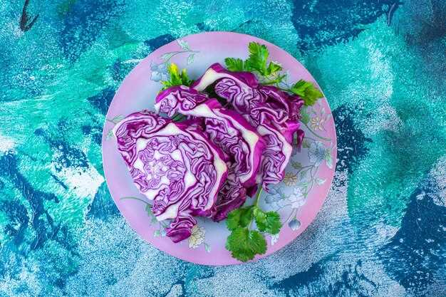 Пошаговые рецепты салатов и закусок с краснокочанной капустой