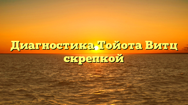 Диагностика Тойота Витц скрепкой