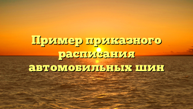 Пример приказного расписания автомобильных шин