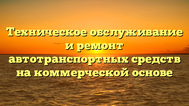 Техническое обслуживание и ремонт автотранспортных средств на коммерческой основе